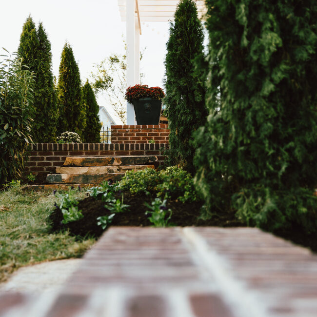 Brick walkway lined with evergreen shrubs and potted plant in Haunted Mansion Homage, a custom home by Mike Stevens Homes