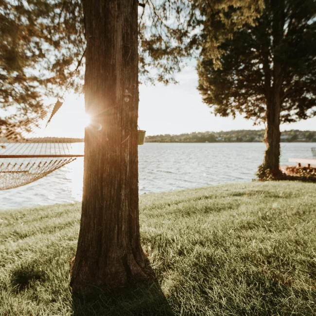 Hammock strung between trees near the water at sunset in Island Farmhouse, a custom home by Mike Stevens Homes